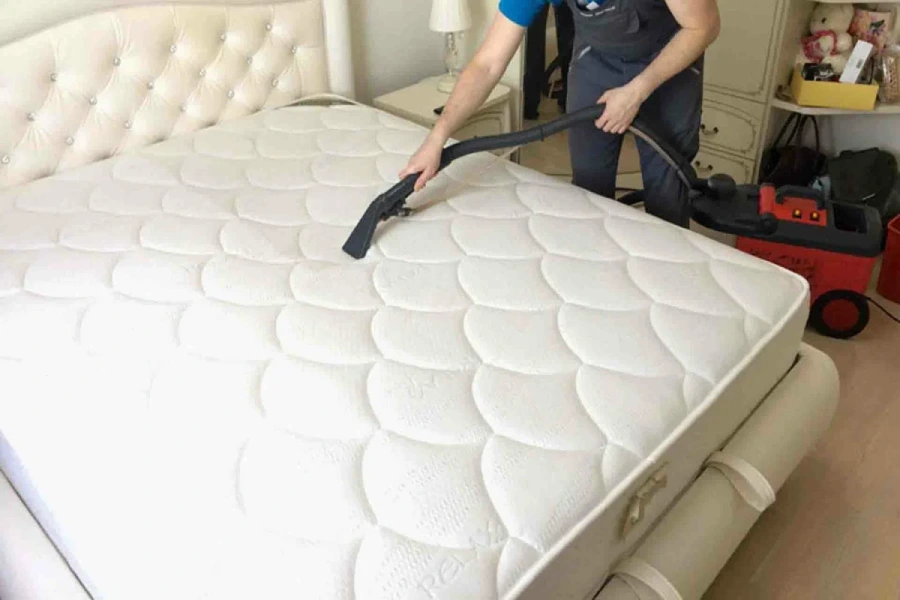 Sofa & Mattress Cleaning Services