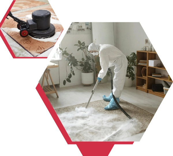Expert Carpet Cleaning in Qatar | Carpet Shampooing Services