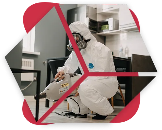 Disinfection Services Qatar