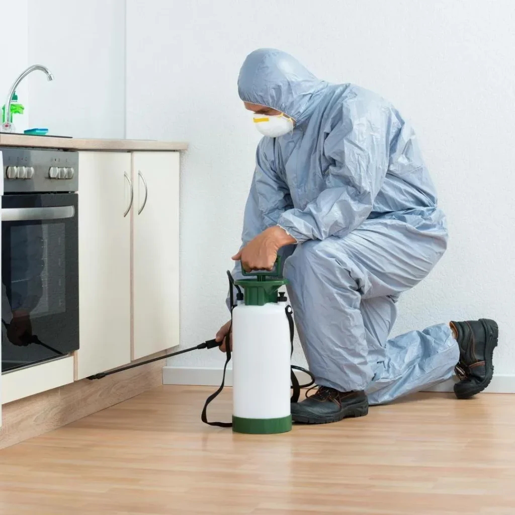 Pest Cleaning Services Qatar