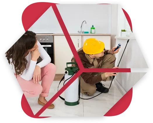 Pest Cleaning Services Qatar