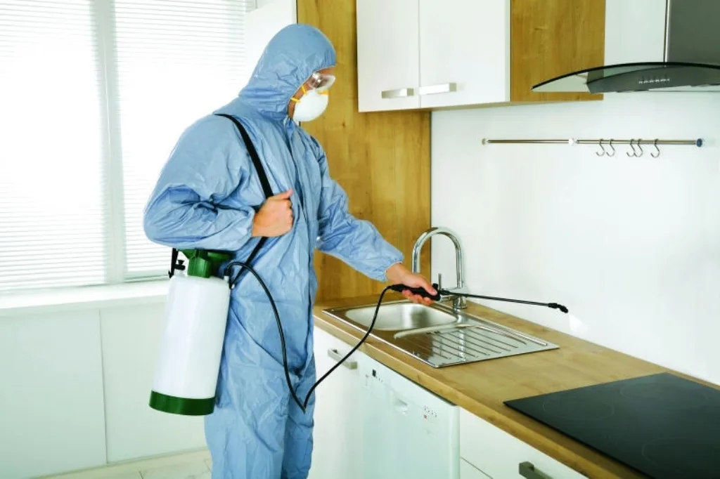 Qatar Pest Cleaning Control